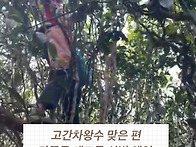 노반장 작업 마치고 반장노..