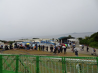 일본(237)
