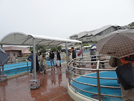 일본(240)