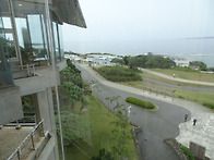 일본(236)
