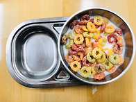 2020년 2월24일 월요일 간..