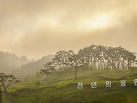 천년의 정원