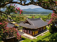 조선의 선비가 사랑한 나무
