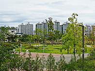 구리 장자호수 공원
