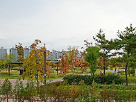 구리시 장자 호수공원 가을