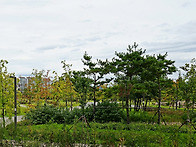 구리 장자호수 공원