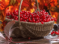 예쁜 gif 이미지