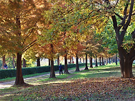 가을의 감성ㅡ산책하기 좋은 곳