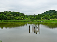 2026.푸른수목원