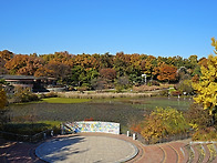 올림픽 공원 늦가을