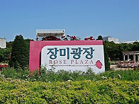 올림픽공원 장미광장