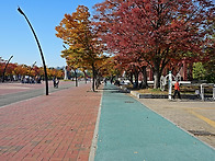 올림픽 공원 가을