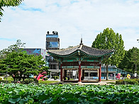 어린이 대공원 여름