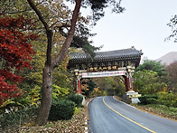 해남 대흥사 늦가을 풍경