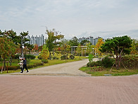 구리시 장자 호수공원 가을