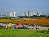 양주 나리농원