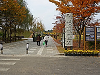 드림파크 가을 전경