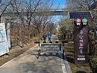 서울 용답 매화마을