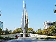 일산 호수공원 가을 꽃축제