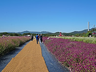2026.양주 나리공원