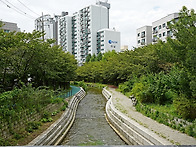 성내천 늦 여름