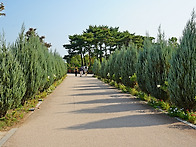 구리 시민공원 초가을
