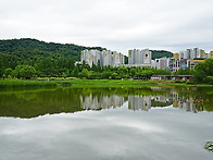 2026.푸른수목원