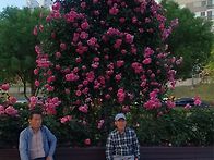 2026.5.23.생일 축하 모..