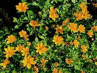 25.10/28(화)바이덴스