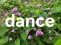 For delay dementia..