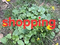 For delay dementia..