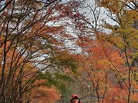 순천강천산 단풍산행~^^