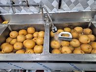 진한도라지배즙,생..