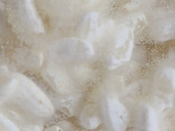 오랜만에포슬포슬 이쁜 쌀..