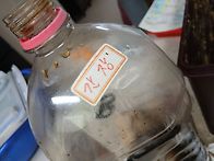 보리 막장 만들기 3일째 ..