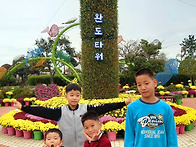 완도 국화꽃 전시에 다녀왔..