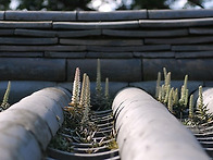 [구금자] 시절인연..