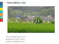 경기 용인 뉴스 ..