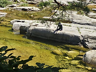 [김영철] 무릉반석..