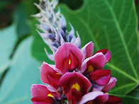 [구금자] 찻잔에 ..