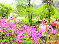 지리산 바래봉(1)