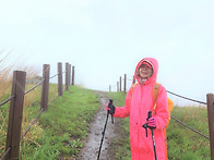 지리산 바래봉(2)