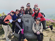 봉화산1