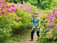 봉화산3