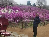 4월정기 원미산 진달래공원..