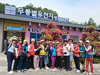 6월정기 동해 라벤더 축제..