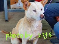 2번