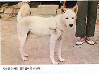 장자섭씨의 개..