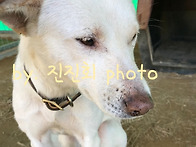 이해법