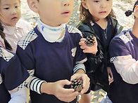 대아수목원 숲체험-열매탐..
